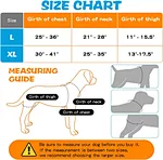 Canine ccl brace
