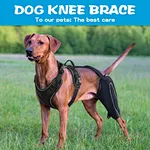 Canine ccl brace