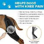 Dog ccl braces